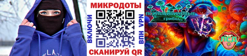 мориарти наркотические препараты  Вяземский  Псилоцибиновые грибы Psilocybe 