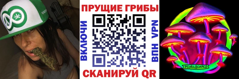 Галлюциногенные грибы мицелий Вяземский